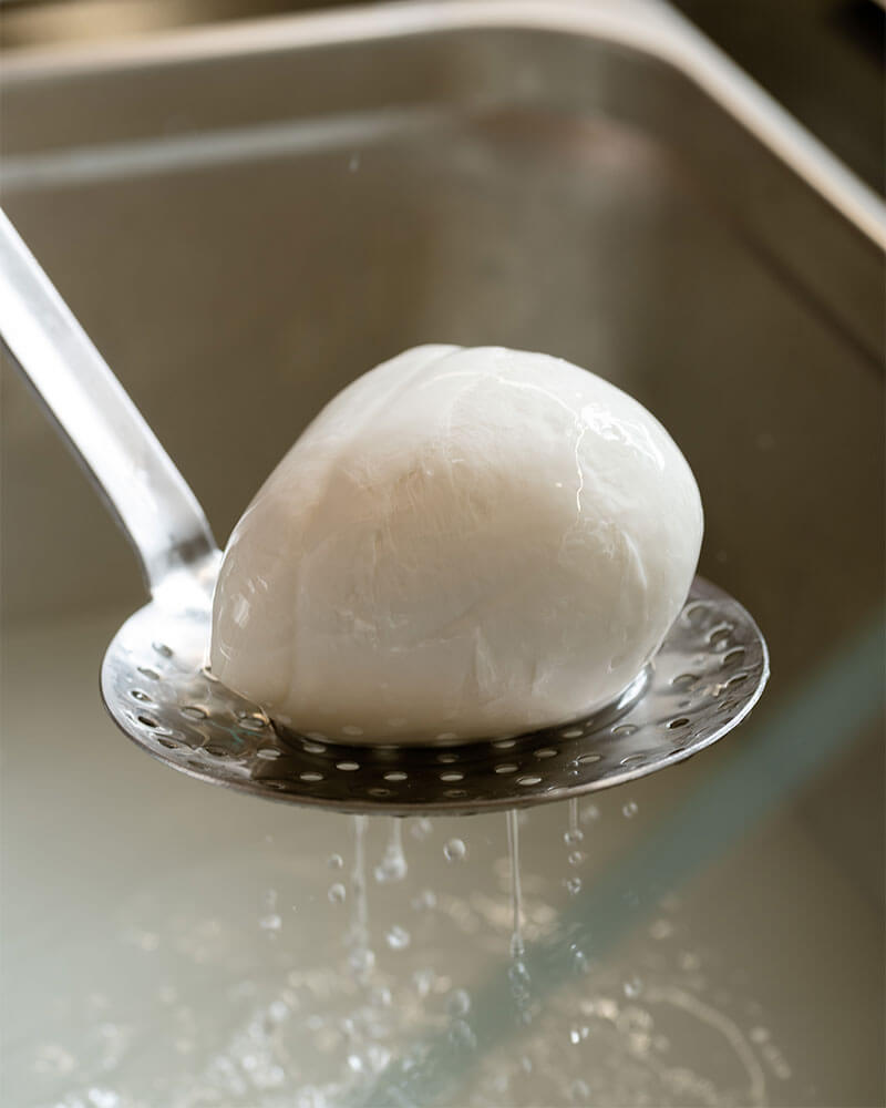 mozzarella