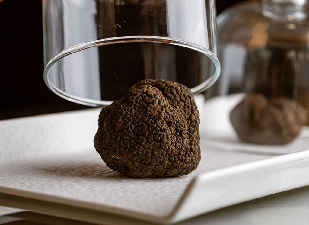 tartufo