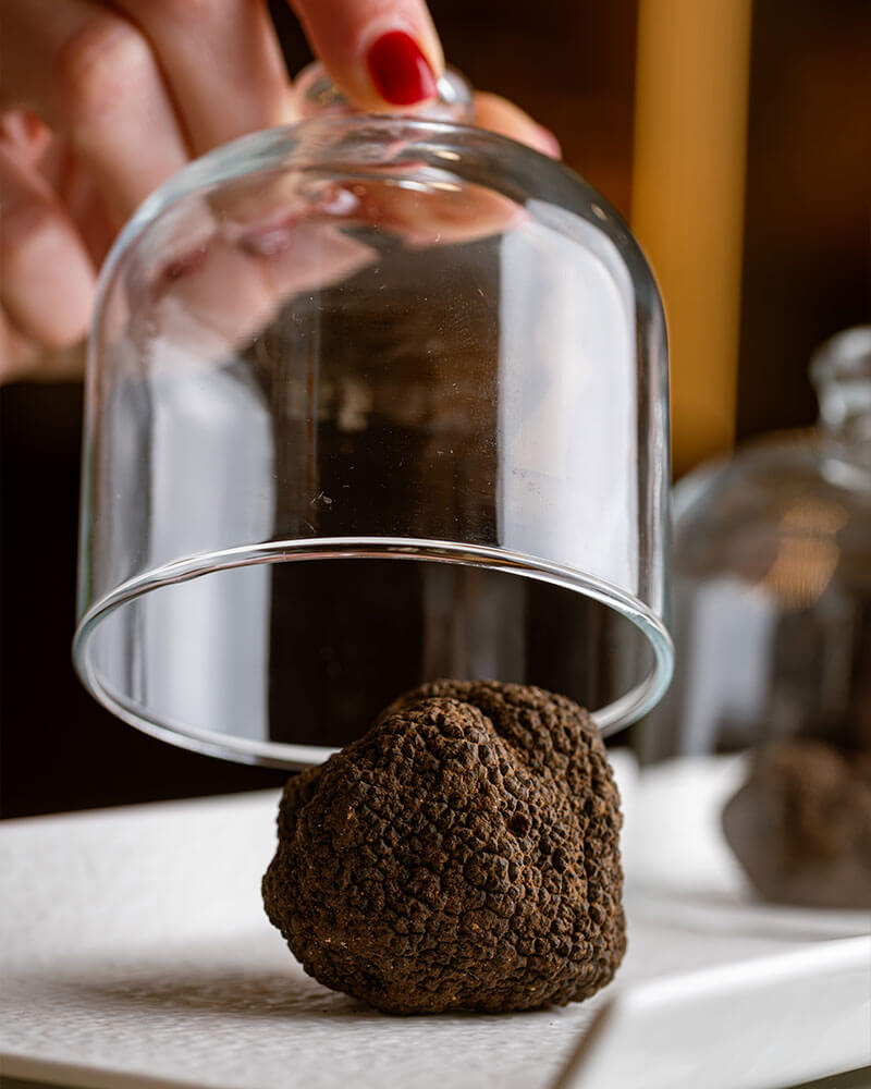 tartufo